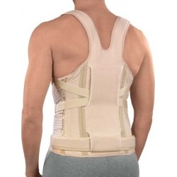 ΝΑΡΘΗΚΑΣ ΚΟΡΜΟΥ ΜΕ ΥΦΑΣΜΑ "TAYLOR II"